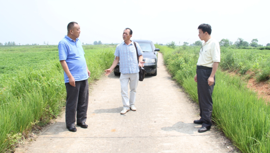 MG不朽情缘(中国区)官方网站