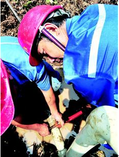 MG不朽情缘(中国区)官方网站