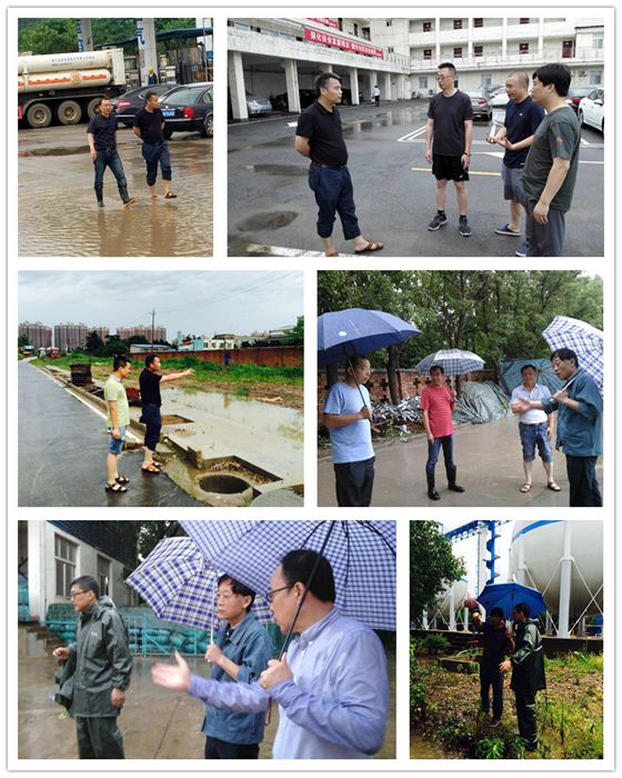 MG不朽情缘(中国区)官方网站