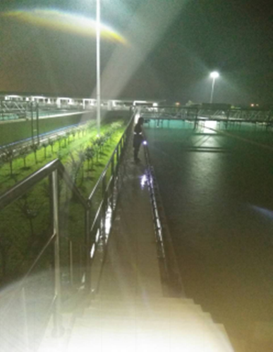 MG不朽情缘(中国区)官方网站