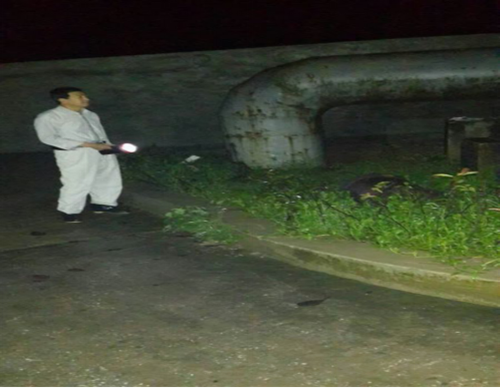 MG不朽情缘(中国区)官方网站