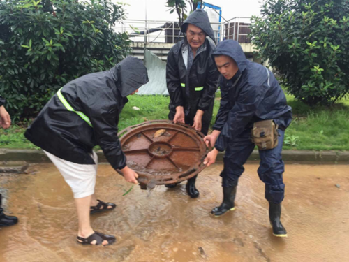 MG不朽情缘(中国区)官方网站