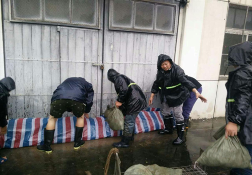 MG不朽情缘(中国区)官方网站