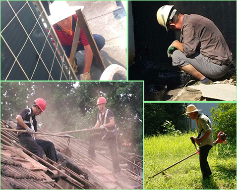 MG不朽情缘(中国区)官方网站