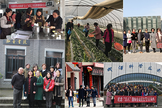 MG不朽情缘(中国区)官方网站