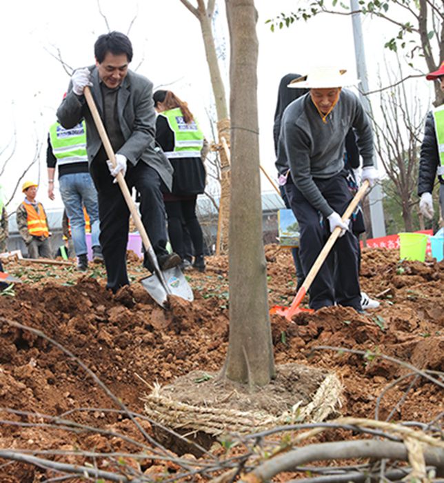 MG不朽情缘(中国区)官方网站