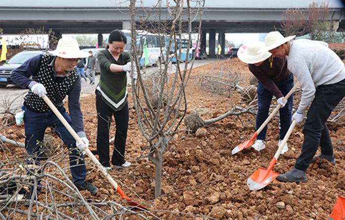 MG不朽情缘(中国区)官方网站