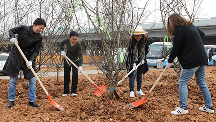 MG不朽情缘(中国区)官方网站
