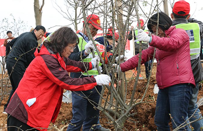 MG不朽情缘(中国区)官方网站