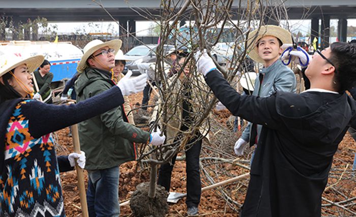 MG不朽情缘(中国区)官方网站