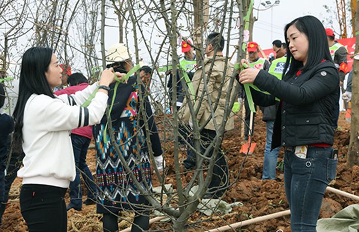 MG不朽情缘(中国区)官方网站