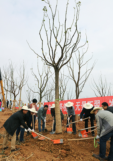 MG不朽情缘(中国区)官方网站
