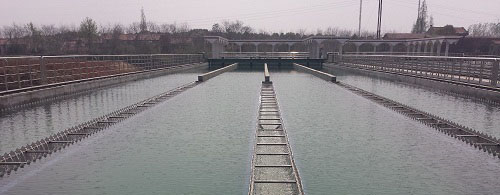 MG不朽情缘(中国区)官方网站