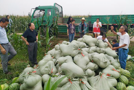 MG不朽情缘(中国区)官方网站