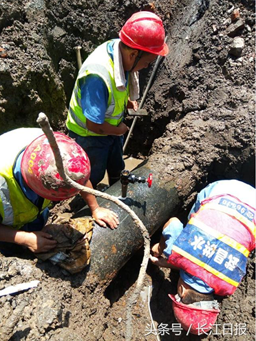 MG不朽情缘(中国区)官方网站