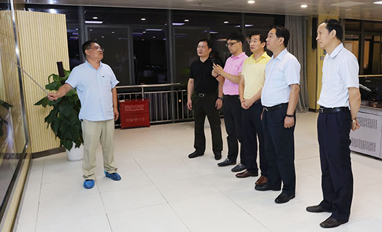 MG不朽情缘(中国区)官方网站