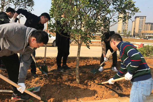 MG不朽情缘(中国区)官方网站