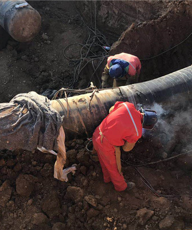 MG不朽情缘(中国区)官方网站