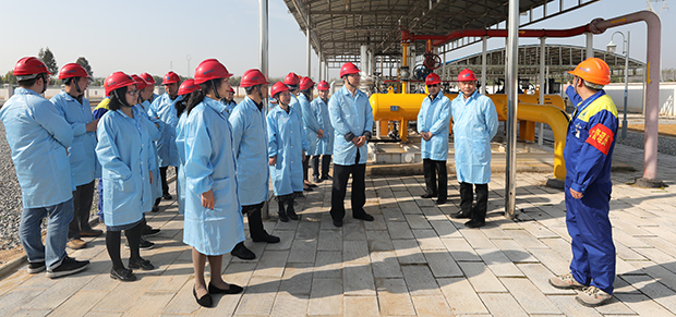 MG不朽情缘(中国区)官方网站