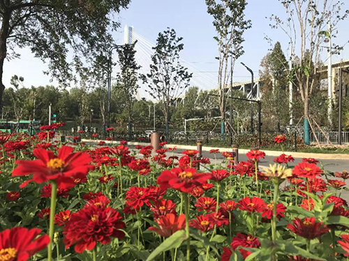 MG不朽情缘(中国区)官方网站