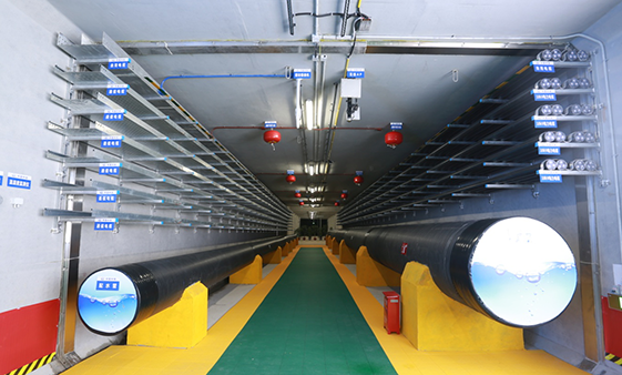 MG不朽情缘(中国区)官方网站