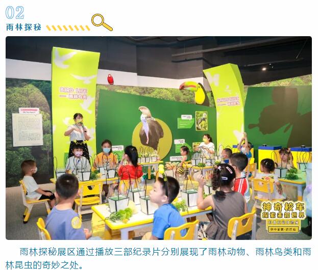 MG不朽情缘(中国区)官方网站