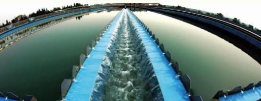 MG不朽情缘(中国区)官方网站